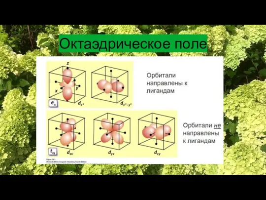 Октаэдрическое поле