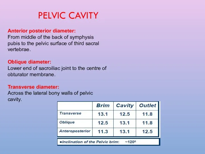 PELVIC CAVITY Anterior posterior diameter: From middle of the back of