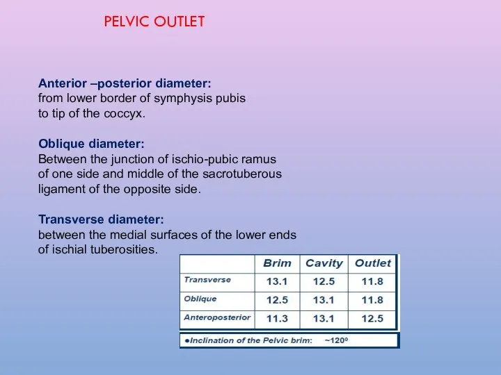 PELVIC OUTLET Anterior –posterior diameter: from lower border of symphysis pubis