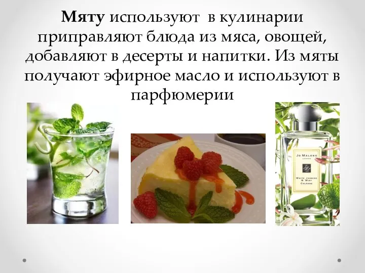 Мяту используют в кулинарии приправляют блюда из мяса, овощей, добавляют в