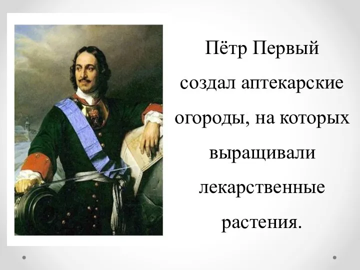 Пётр Первый создал аптекарские огороды, на которых выращивали лекарственные растения.