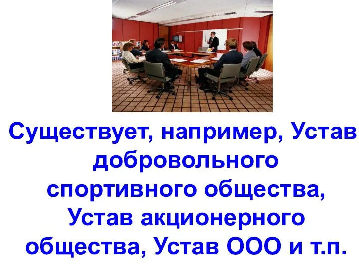 Существует, например, Устав добровольного спортивного общества, Устав акционерного общества, Устав ООО и т.п.