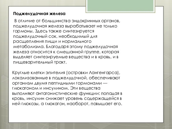 Поджелудочная железа В отличие от большинства эндокринных органов, поджелудочная железа вырабатывает