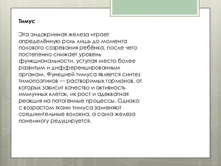 Тимус Эта эндокринная железа играет определённую роль лишь до момента полового