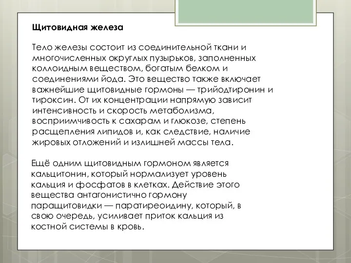 Щитовидная железа Тело железы состоит из соединительной ткани и многочисленных округлых