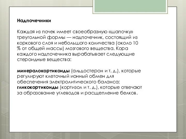 Надпочечники Каждая из почек имеет своеобразную «шапочку» треугольной формы — надпочечник,