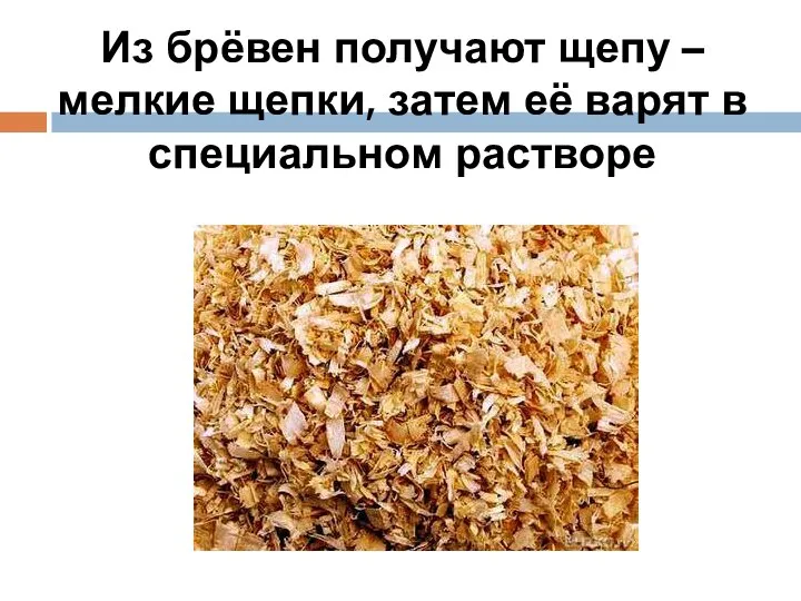 Из брёвен получают щепу – мелкие щепки, затем её варят в специальном растворе