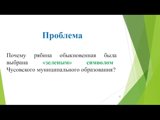 Проблема Почему рябина обыкновенная была выбрана «зеленым» символом Чусовского муниципального образования?