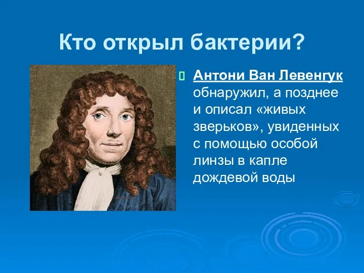 Кто открыл бактерии? Антони Ван Левенгук обнаружил, а позднее и описал