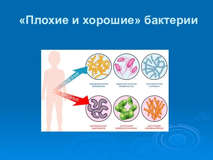 «Плохие и хорошие» бактерии