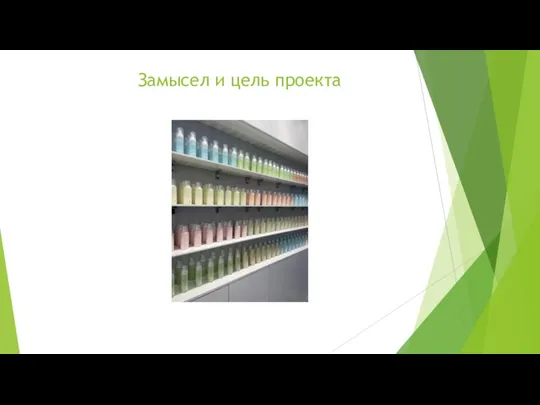 Замысел и цель проекта