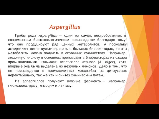 Aspergillus Грибы рода Aspergillus — одни из самых востребованных в современном