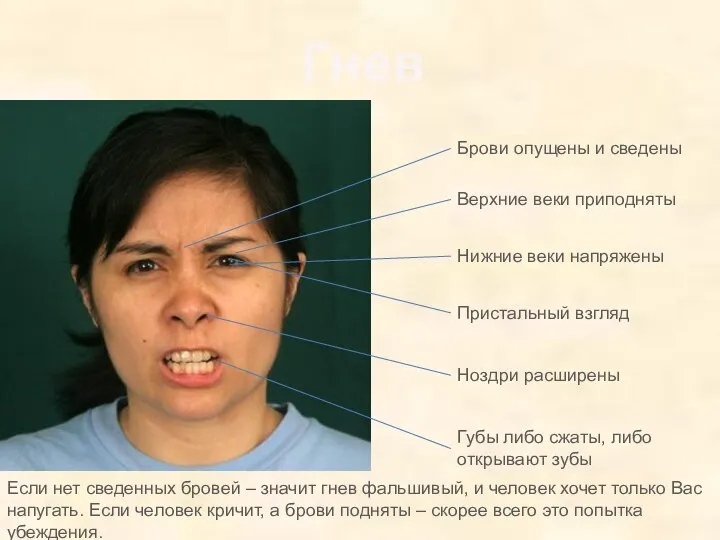 Гнев Если нет сведенных бровей – значит гнев фальшивый, и человек