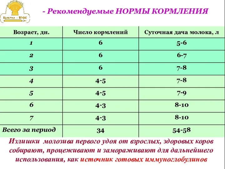 Излишки молозива первого удоя от взрослых, здоровых коров собирают, процеживают и