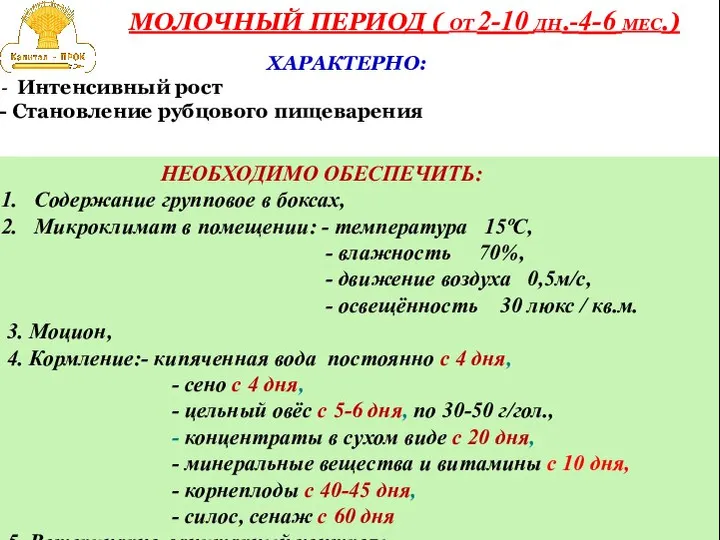 МОЛОЧНЫЙ ПЕРИОД ( ОТ 2-10 ДН.-4-6 МЕС.) ХАРАКТЕРНО: Интенсивный рост Становление