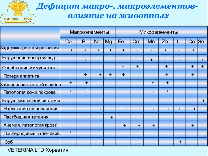 Дефицит макро-, микроэлементов- влияние на животных Макроэлементы Микроэлементы Ca P Na