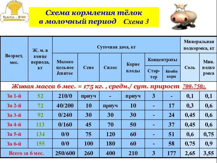 Схема кормления тёлок в молочный период Схема 3