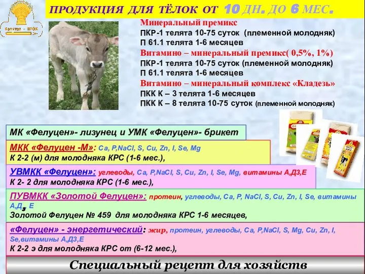 Минеральный премикс ПКР-1 телята 10-75 суток (племенной молодняк) П 61.1 телята