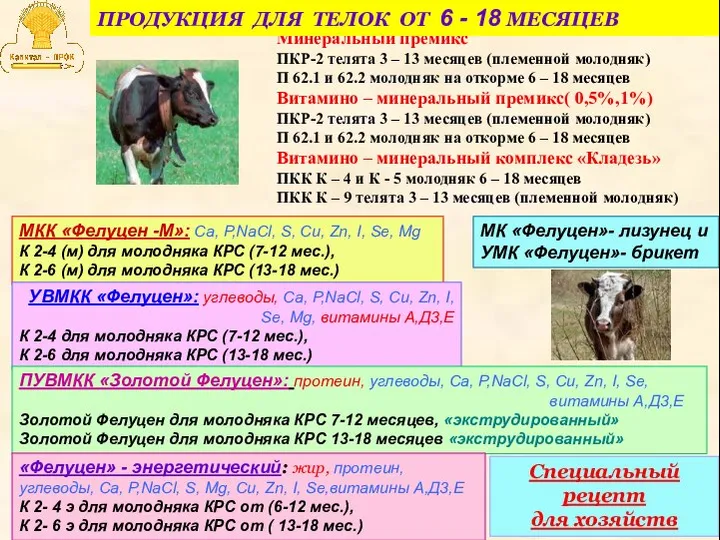 Минеральный премикс ПКР-2 телята 3 – 13 месяцев (племенной молодняк) П