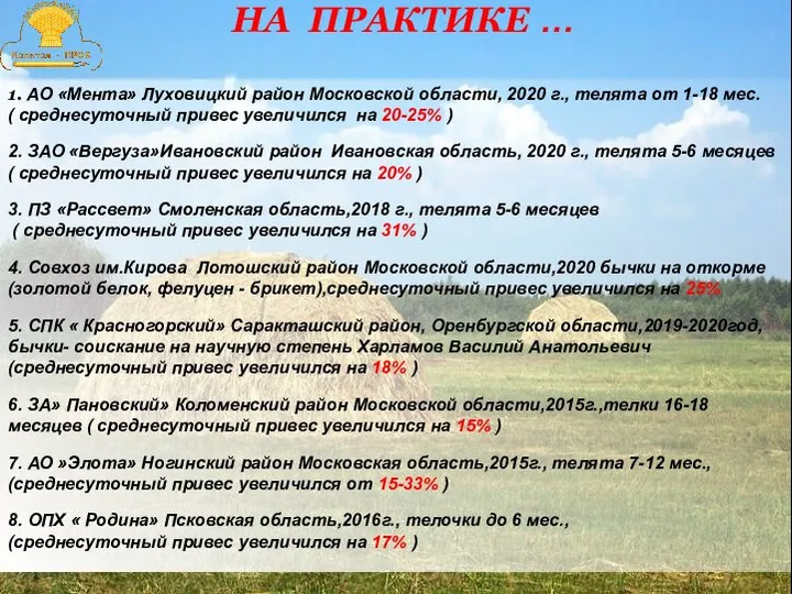 1. АО «Мента» Луховицкий район Московской области, 2020 г., телята от