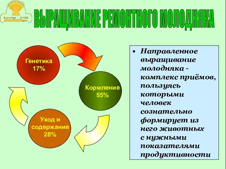 Направленное выращивание молодняка - комплекс приёмов, пользуясь которыми человек сознательно формирует