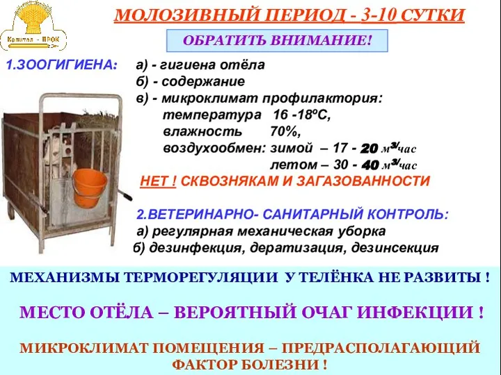 МОЛОЗИВНЫЙ ПЕРИОД - 3-10 СУТКИ ОБРАТИТЬ ВНИМАНИЕ! 1.ЗООГИГИЕНА: а) - гигиена