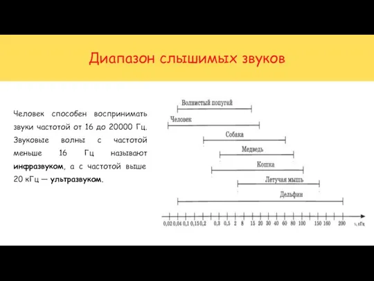 Диапазон слышимых звуков Человек способен воспринимать звуки частотой от 16 до