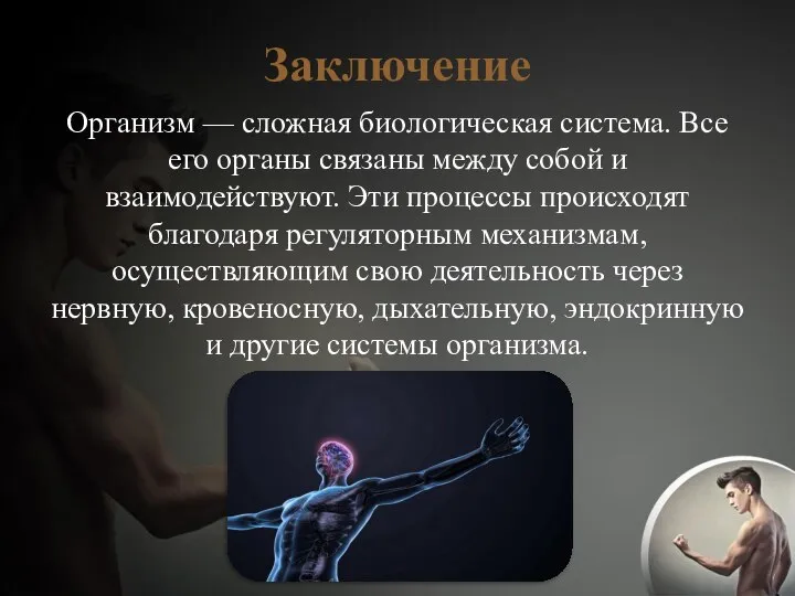 Заключение Организм — сложная биологическая система. Все его органы связаны между