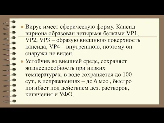 Вирус имеет сферическую форму. Капсид вириона образован четырьмя белками VP1, VP2,