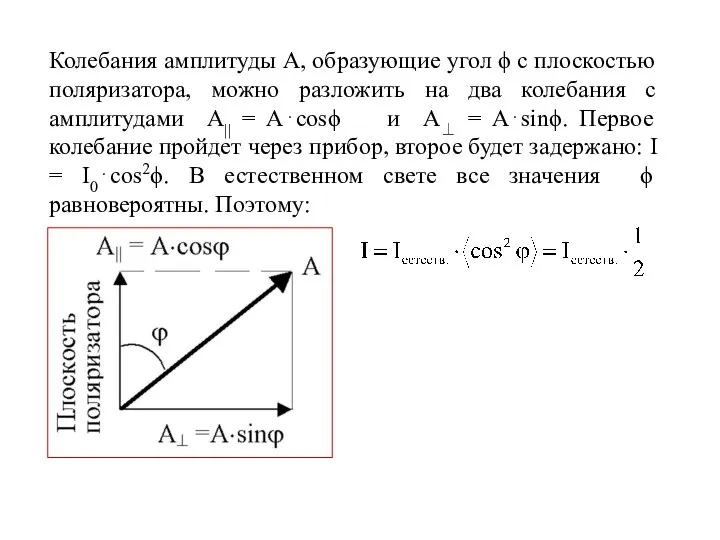 Колебания амплитуды А, образующие угол ϕ с плоскостью поляризатора, можно разложить