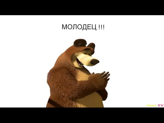 МОЛОДЕЦ !!!