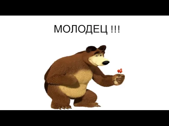 МОЛОДЕЦ !!!