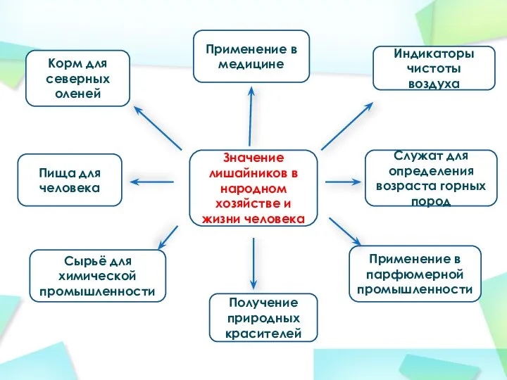 Значение лишайников в народном хозяйстве и жизни человека Служат для определения