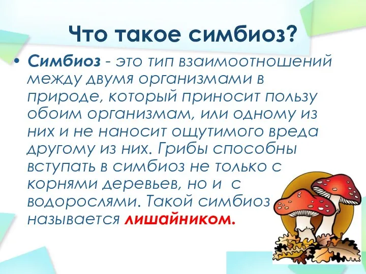 Что такое симбиоз? Симбиоз - это тип взаимоотношений между двумя организмами