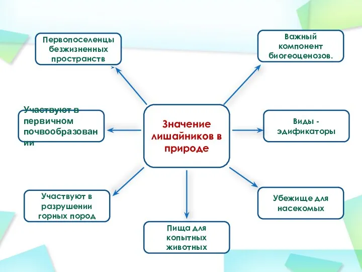 Значение лишайников в природе Первопоселенцы безжизненных пространств Участвуют в первичном почвообразовании