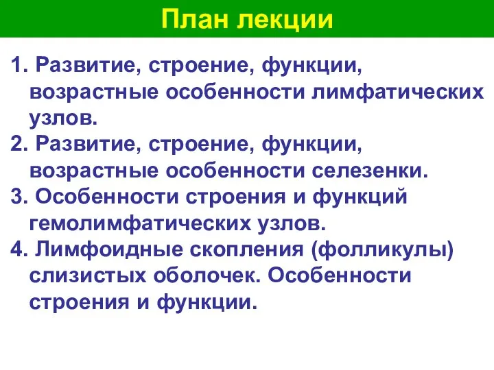 План лекции 1. Развитие, строение, функции, возрастные особенности лимфатических узлов. 2.