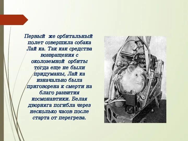 Первый же орбитальный полет совершила собака Лайка. Так как средства возвращения