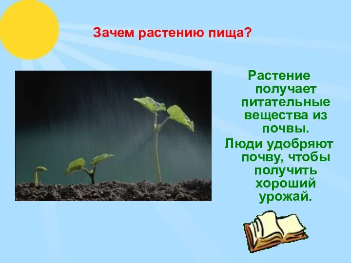 Зачем растению пища? Растение получает питательные вещества из почвы. Люди удобряют почву, чтобы получить хороший урожай.