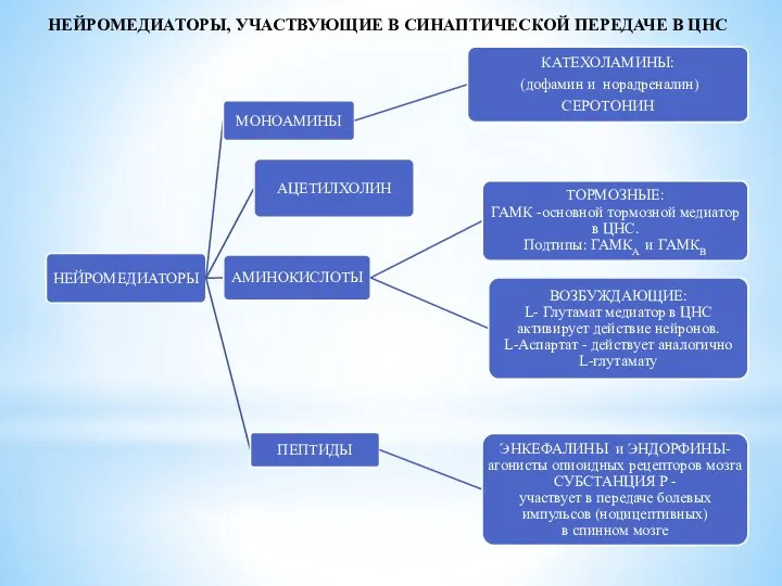 НЕЙРОМЕДИАТОРЫ, УЧАСТВУЮЩИЕ В СИНАПТИЧЕСКОЙ ПЕРЕДАЧЕ В ЦНС