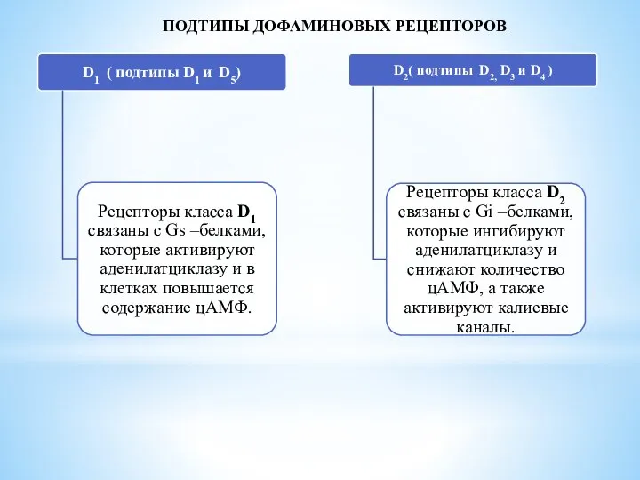 ПОДТИПЫ ДОФАМИНОВЫХ РЕЦЕПТОРОВ