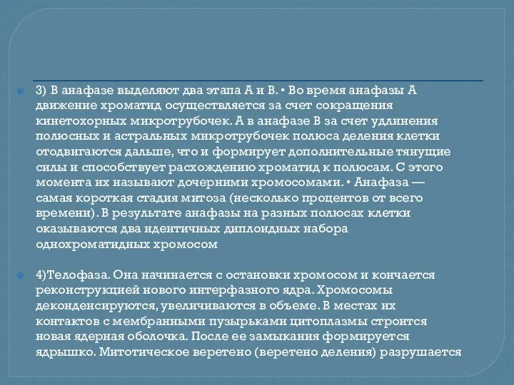 3) В анафазе выделяют два этапа А и В. • Во