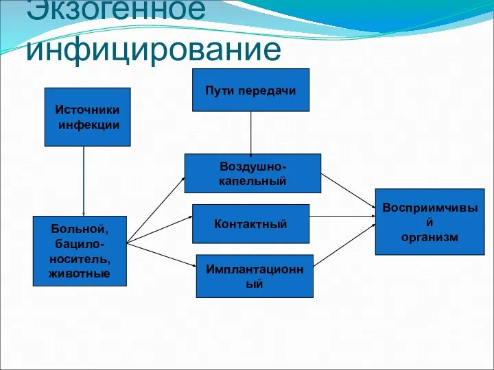 Экзогенное инфицирование Пути передачи Воздушно-капельный Контактный Имплантационный Источники инфекции Восприимчивый организм Больной, бацило- носитель, животные