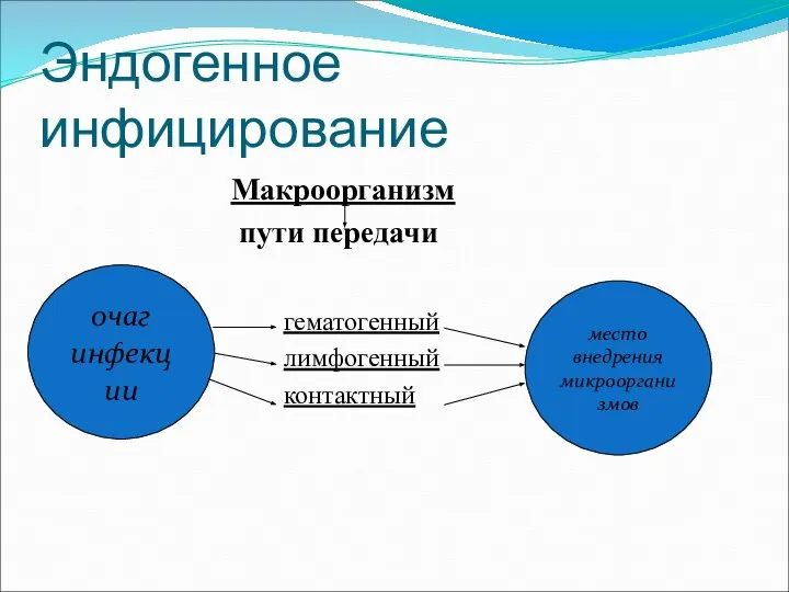 Эндогенное инфицирование Макроорганизм пути передачи гематогенный лимфогенный контактный очаг инфекции место внедрения микроорганизмов