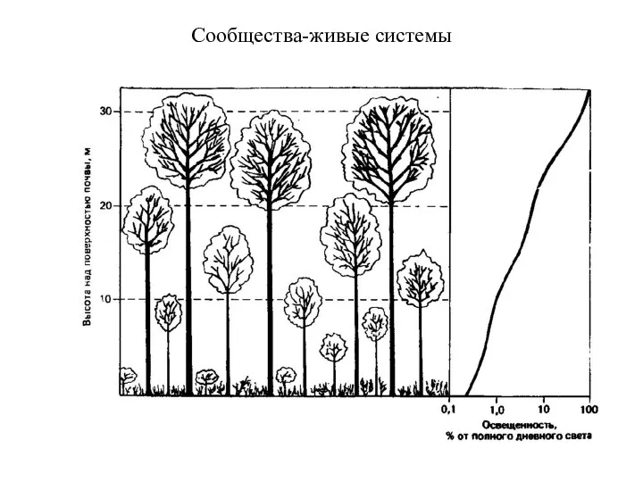 Сообщества-живые системы