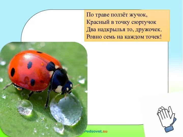 По траве ползёт жучок, Красный в точку сюртучок Два надкрылья то,