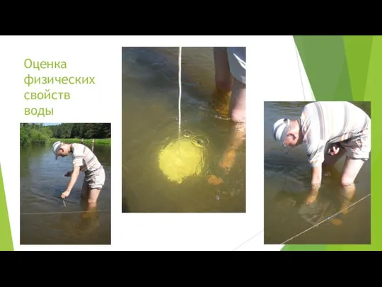 Оценка физических свойств воды