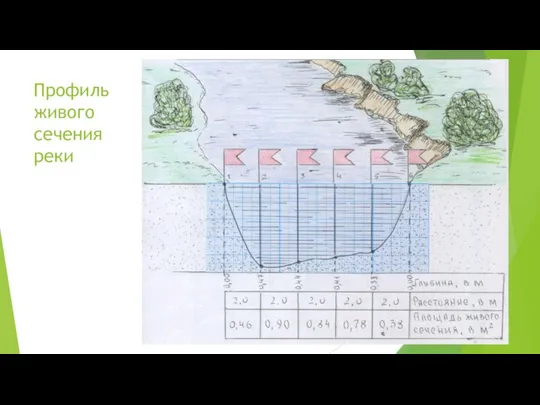 Профиль живого сечения реки