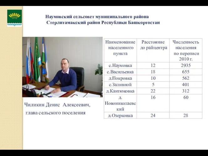 Чиликин Денис Алексеевич, глава сельского поселения Наумовский сельсовет муниципального района Стерлитамакский район Республики Башкортостан