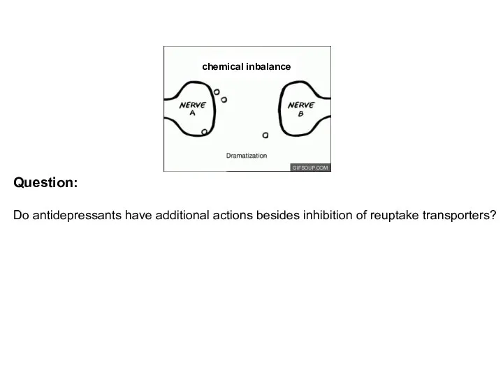 Question: Do antidepressants have additional actions besides inhibition of reuptake transporters? chemical inbalance