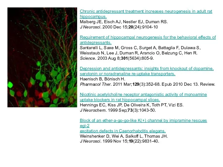 Chronic antidepressant treatment increases neurogenesis in adult rat hippocampus. Malberg JE,